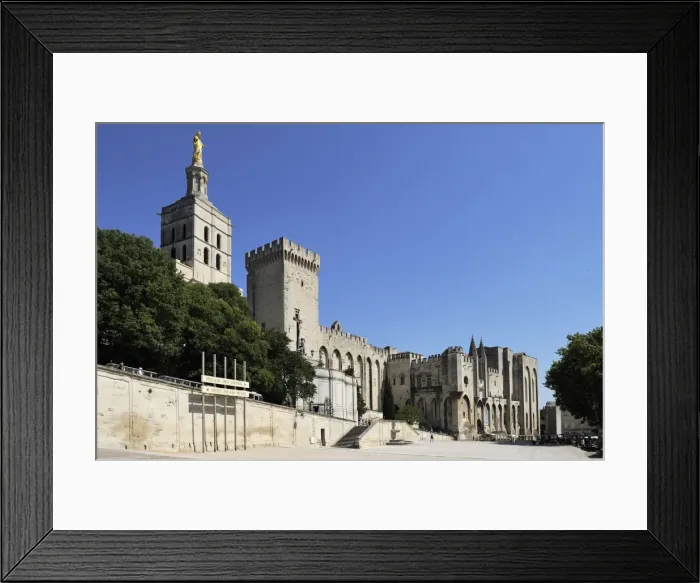 Framed Print : Notre Dame des Doms Cathedral and Palais des Papes (Papal Palace), UNESCO World Heritage Site Framed Print : Notre Dame des Doms Cathedral and Palais des Papes (Papal Palace), UNESCO World Heritage Site