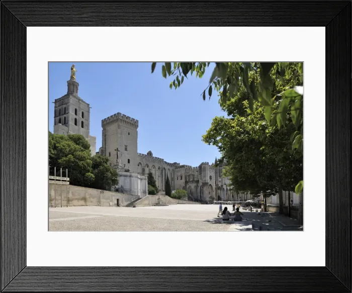 Framed Print : Notre Dame des Doms Cathedral and Palais des Papes, UNESCO World Heritage Site Framed Print : Notre Dame des Doms Cathedral and Palais des Papes, UNESCO World Heritage Site