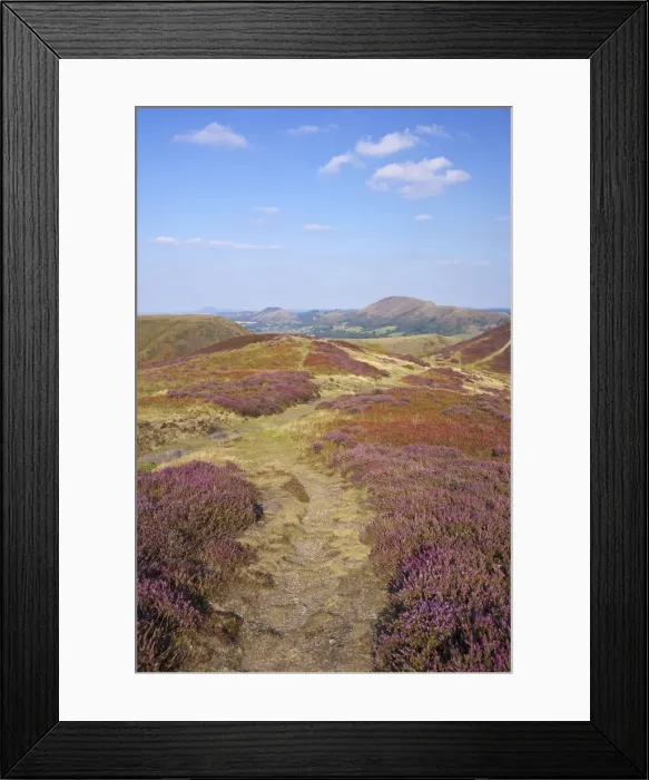 Framed Print : Views over Caradoc, Lawley and the Wrekin from the Long Mynd, Church Stretton Hills Framed Print : Views over Caradoc, Lawley and the Wrekin from the Long Mynd, Church Stretton Hills