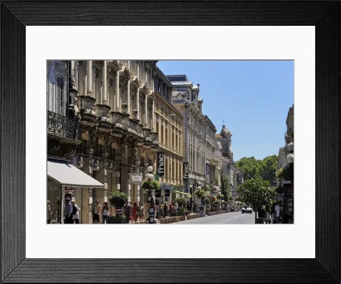 Framed Print : Rue de la Republique, Avignon, Provence, France, Europe Framed Print : Rue de la Republique, Avignon, Provence, France, Europe