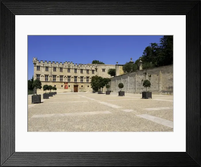 Framed Print : Musee du Petit Palais (Museum), Avignon, Provence, France, Europe Framed Print : Musee du Petit Palais (Museum), Avignon, Provence, France, Europe