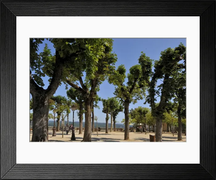 Framed Print : Tree lined promenade area in the Bastide town of Domme, one of Les Plus Beaux Villages de France Framed Print : Tree lined promenade area in the Bastide town of Domme, one of Les Plus Beaux Villages de France