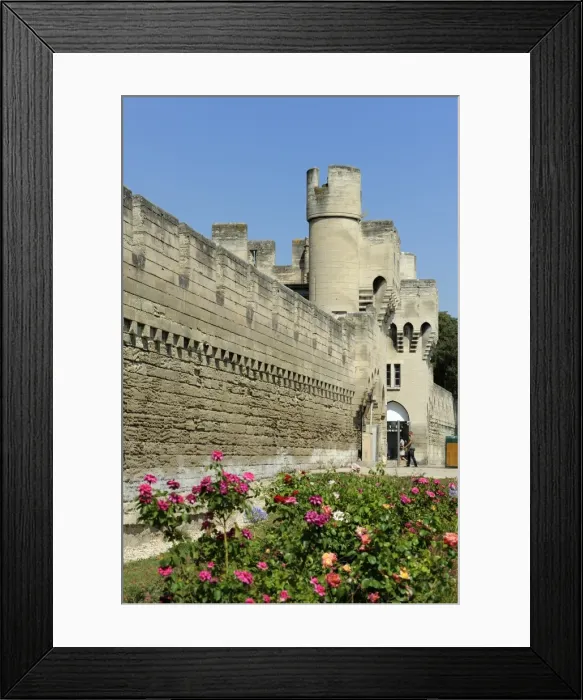 Framed Print : Porte de la Republique, city walls and ramparts, Avignon, Provence, France, Europe Framed Print : Porte de la Republique, city walls and ramparts, Avignon, Provence, France, Europe