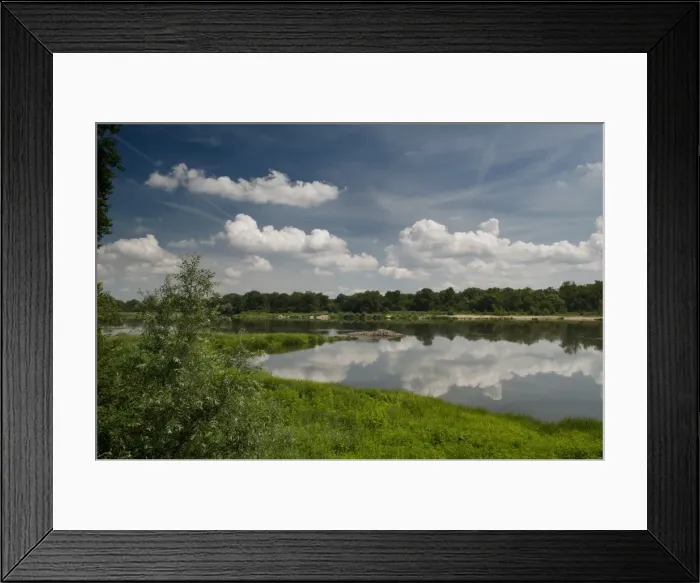Framed Print : Elbe River and its flora near village of Storkau, Saxony-Anhalt, Germany, Europe Framed Print : Elbe River and its flora near village of Storkau, Saxony-Anhalt, Germany, Europe