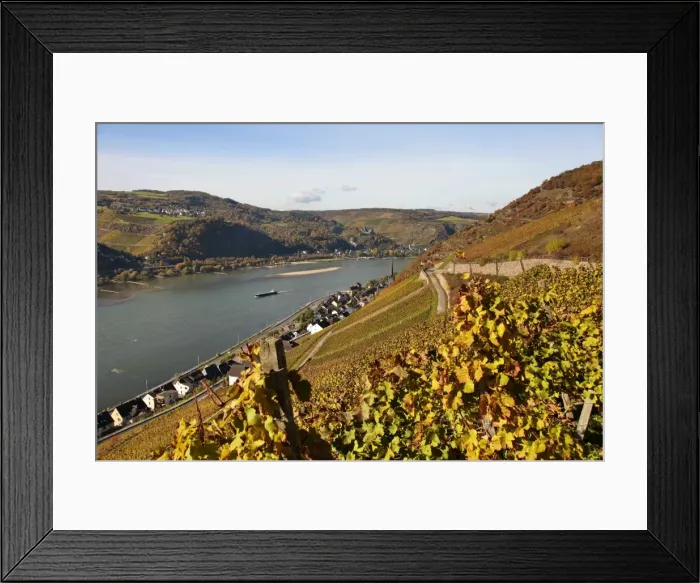 Framed Print : Lorchhausen, Rhine Valley, Hesse, Germany, Europe Framed Print : Lorchhausen, Rhine Valley, Hesse, Germany, Europe