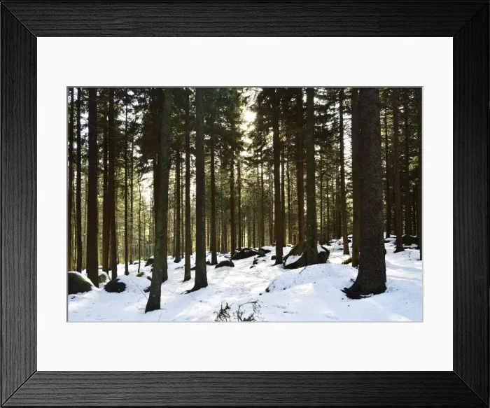 Framed Print : Winter landscape, Brend, Furtwangen, Black Forest, Baden-Wurttemberg, Germany, Europe Framed Print : Winter landscape, Brend, Furtwangen, Black Forest, Baden-Wurttemberg, Germany, Europe