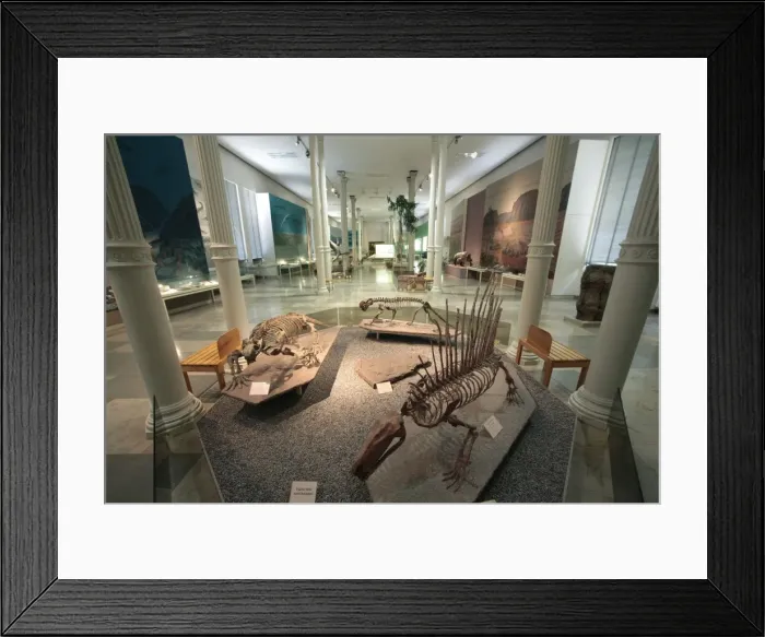 Framed Print : Museum of Natural Science, Karlsruhe, Baden-Wurttemberg, Germany, Europe Framed Print : Museum of Natural Science, Karlsruhe, Baden-Wurttemberg, Germany, Europe