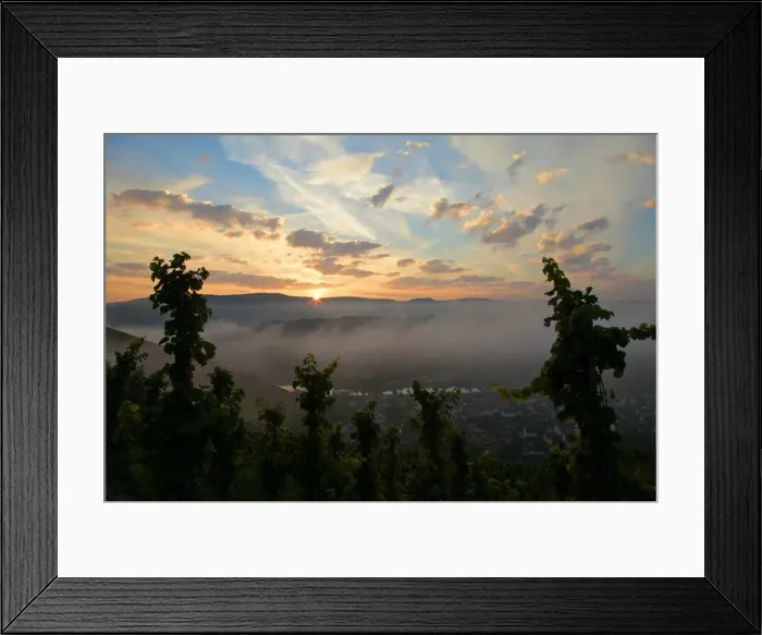 Framed Print : Morning mood at vineyard, Saarburg, Rhineland-Palatinate, Germany, Europe Framed Print : Morning mood at vineyard, Saarburg, Rhineland-Palatinate, Germany, Europe