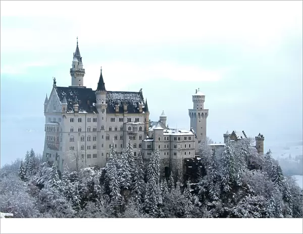Neuschwanstein Castle in winter, Schwangau, Allgau, Bavaria, Germany, Europe