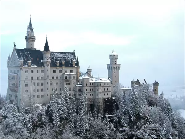 Neuschwanstein Castle in winter, Schwangau, Allgau, Bavaria, Germany, Europe