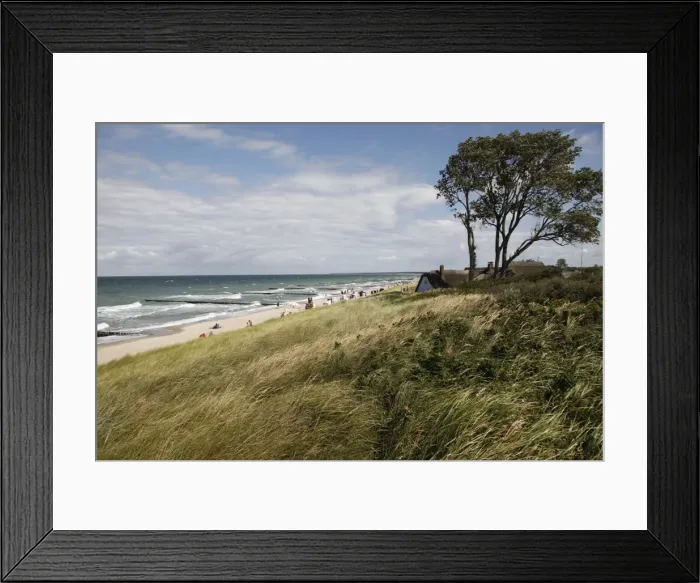 Framed Print : Ahrenhoop, Baltic Sea, Darvu-Fischland, Mecklenburg-Western Pomerania, Germany, Europe Framed Print : Ahrenhoop, Baltic Sea, Darvu-Fischland, Mecklenburg-Western Pomerania, Germany, Europe