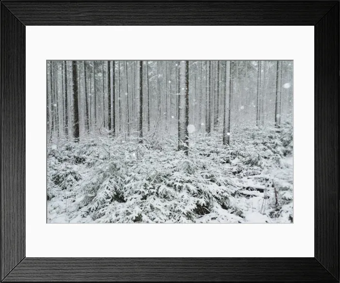 Framed Print : Winter landscape, near Villingen-Schwenningen, Black Forest, Baden-Wurttemberg Framed Print : Winter landscape, near Villingen-Schwenningen, Black Forest, Baden-Wurttemberg