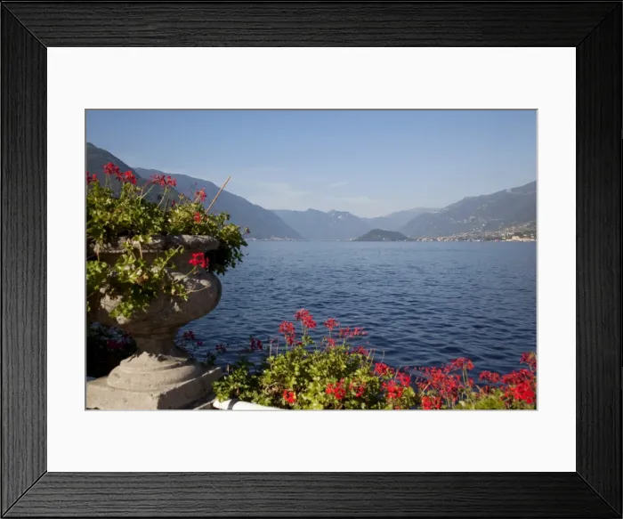 Framed Print : Red geraniums and lake, Bellagio, Lake Como, Lombardy, Italian Lakes, Italy, Europe Framed Print : Red geraniums and lake, Bellagio, Lake Como, Lombardy, Italian Lakes, Italy, Europe