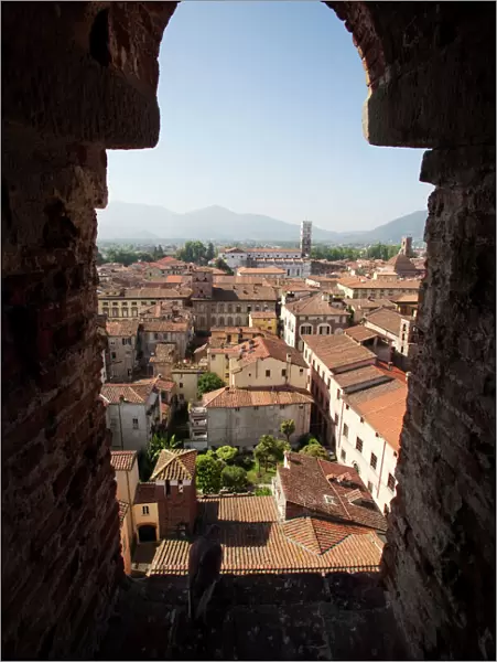 View from the Giunigi Tower, Lucca, Tuscany, Italy, Europe