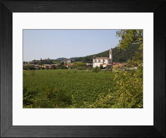 Framed Print : Village church and vineyard near Parma, Emilia Romagna, Italy, Europe Framed Print : Village church and vineyard near Parma, Emilia Romagna, Italy, Europe