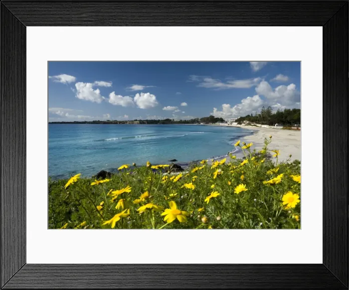 Framed Print : View over beach in spring, Fontane Bianche, near Siracusa, Sicily, Italy Framed Print : View over beach in spring, Fontane Bianche, near Siracusa, Sicily, Italy