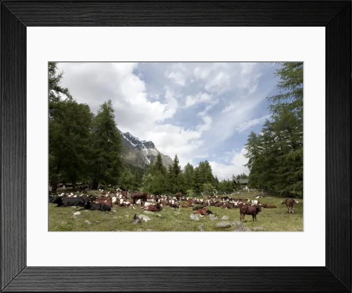 Framed Print : Courmayeur, Mont Blanc, Val Ferret, Aosta Valley, Italy, Europe Framed Print : Courmayeur, Mont Blanc, Val Ferret, Aosta Valley, Italy, Europe