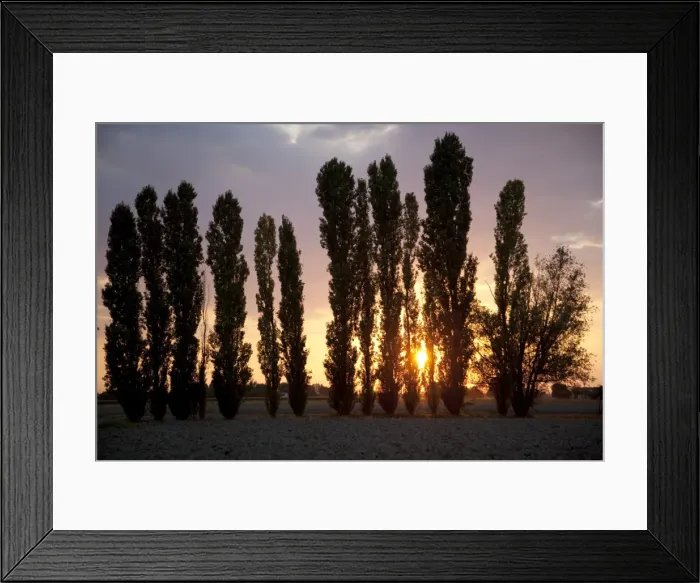 Framed Print : Sunset near Parma, Emilia Romagna, Italy, Europe Framed Print : Sunset near Parma, Emilia Romagna, Italy, Europe