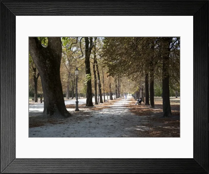 Framed Print : Parco Ducale, Parma, Emilia Romagna, Italy, Europe Framed Print : Parco Ducale, Parma, Emilia Romagna, Italy, Europe