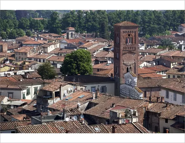 View of the Cathedral, Lucca, Tuscany, Italy, Europe