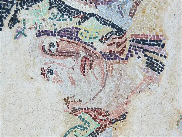 Mosaic floor, House of Dionysos, Quarter of the Theatre, archaeological site