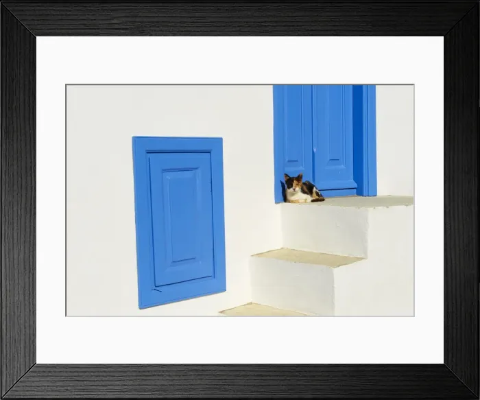 Framed Print : Cat in the old village of Kastro, Sifnos, Cyclades Islands, Greek Islands, Greece, Europe Framed Print : Cat in the old village of Kastro, Sifnos, Cyclades Islands, Greek Islands, Greece, Europe