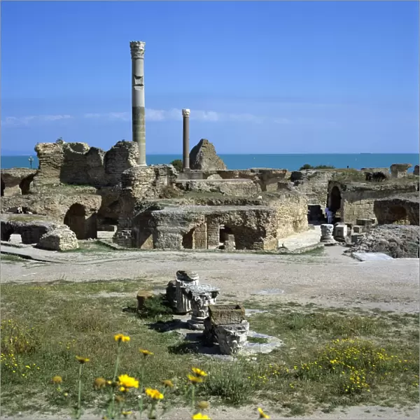 Ruins of ancient Roman baths, Antonine Baths, Carthage, UNESCO World Heritage Site