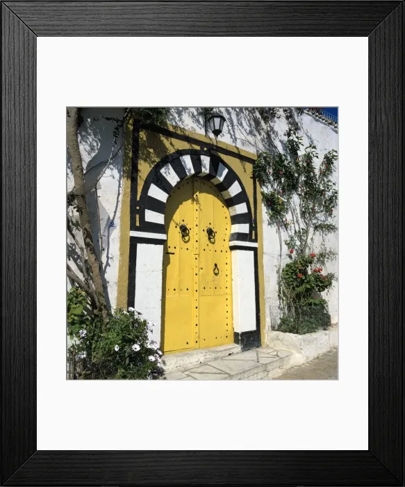Framed Print : Traditional Tunisian doorway, Sidi Bou Said, Tunisia, North Africa, Africa Framed Print : Traditional Tunisian doorway, Sidi Bou Said, Tunisia, North Africa, Africa