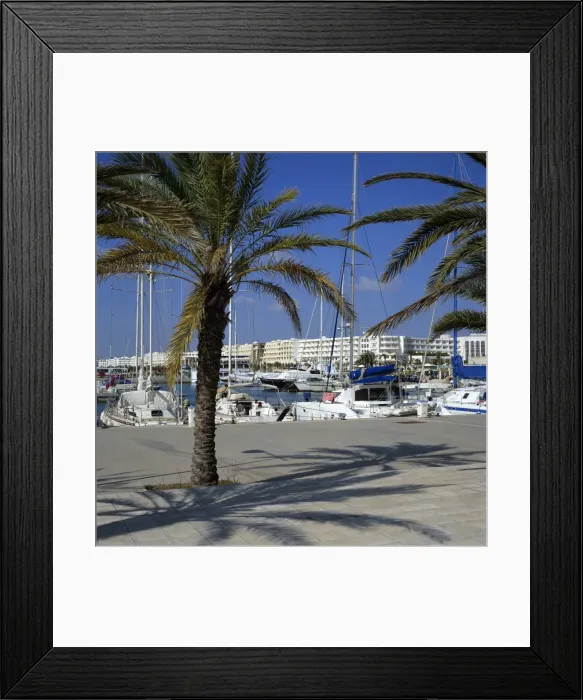 Framed Print : The marina, Yasmine Hammamet, Cap Bon, Tunisia, North Africa, Africa Framed Print : The marina, Yasmine Hammamet, Cap Bon, Tunisia, North Africa, Africa