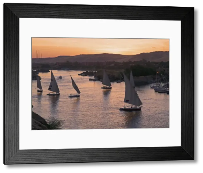 Framed Print : Feluccas on the River Nile, Aswan, Egypt, North Africa, Africa Framed Print : Feluccas on the River Nile, Aswan, Egypt, North Africa, Africa
