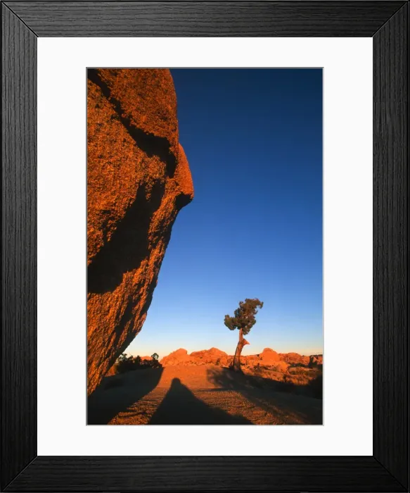 Framed Print : Sunset casts shadows on boulders in Joshua Tree National Park, California, United States of America, North America Framed Print : Sunset casts shadows on boulders in Joshua Tree National Park, California, United States of America, North America