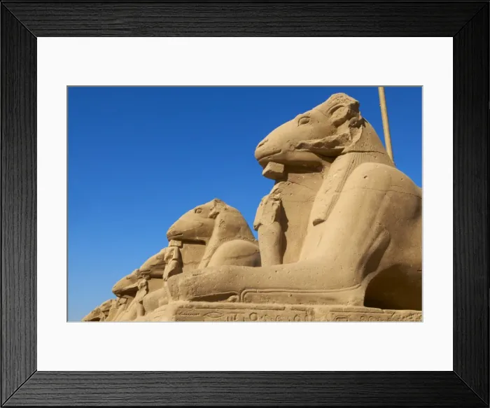 Framed Print : Sphinx path, Temple of Amun, Karnak, Thebes, UNESCO World Heritage Site, Egypt, North Africa, Africa Framed Print : Sphinx path, Temple of Amun, Karnak, Thebes, UNESCO World Heritage Site, Egypt, North Africa, Africa