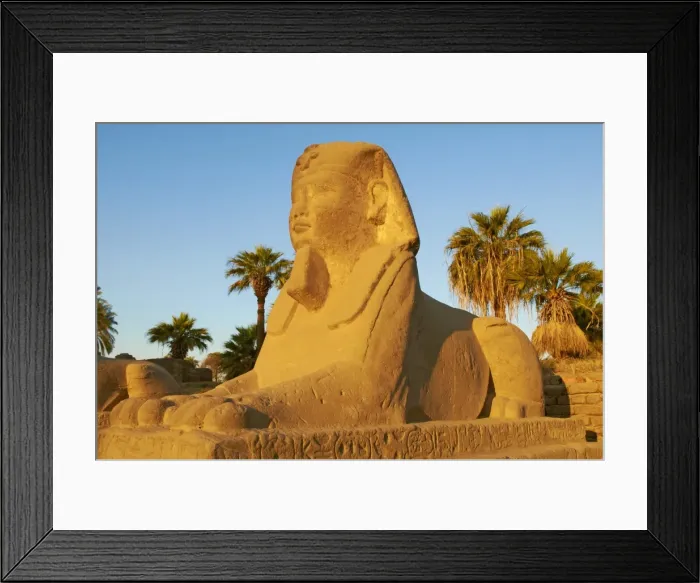 Framed Print : Sphinx path, Temple of Luxor, Thebes, UNESCO World Heritage Site, Egypt, North Africa, Africa Framed Print : Sphinx path, Temple of Luxor, Thebes, UNESCO World Heritage Site, Egypt, North Africa, Africa