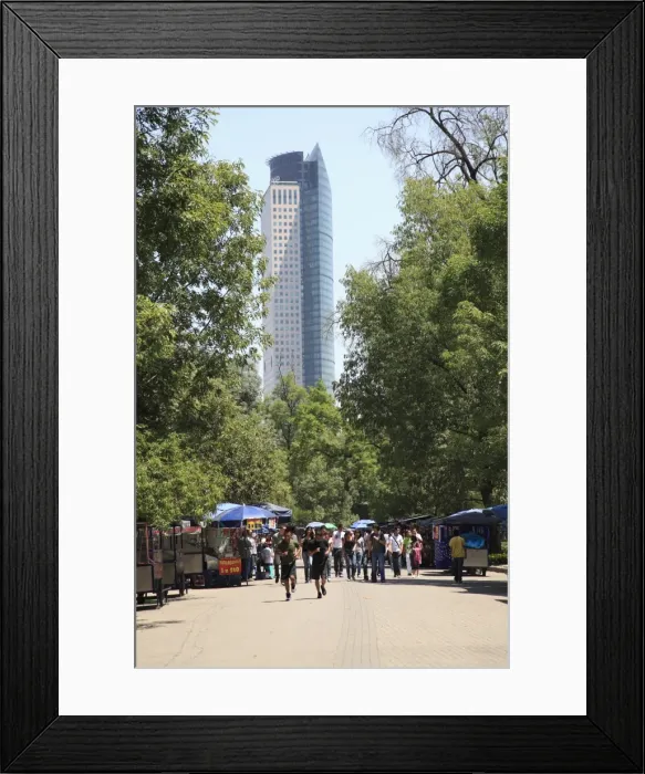 Framed Print : Chapultepec Park (Bosque de Chapultepec), Chapultepec, Mexico City, Mexico, North America Framed Print : Chapultepec Park (Bosque de Chapultepec), Chapultepec, Mexico City, Mexico, North America