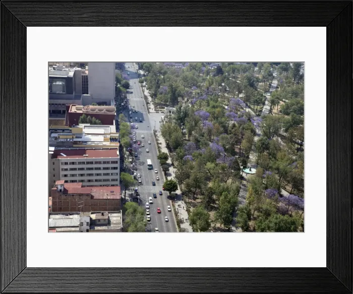 Framed Print : Overview of Almeda Park, Historic Center, Mexico City, Mexico, North America Framed Print : Overview of Almeda Park, Historic Center, Mexico City, Mexico, North America