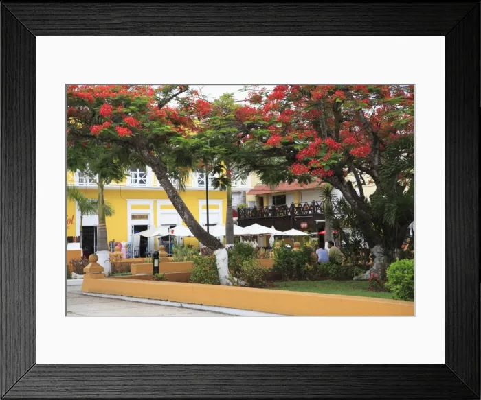 Framed Print : Main Square, San Miguel de Cozumel, Cozumel Island (Isla de Cozumel), Quintana Roo, Mexico, Caribbean, North America Framed Print : Main Square, San Miguel de Cozumel, Cozumel Island (Isla de Cozumel), Quintana Roo, Mexico, Caribbean, North America