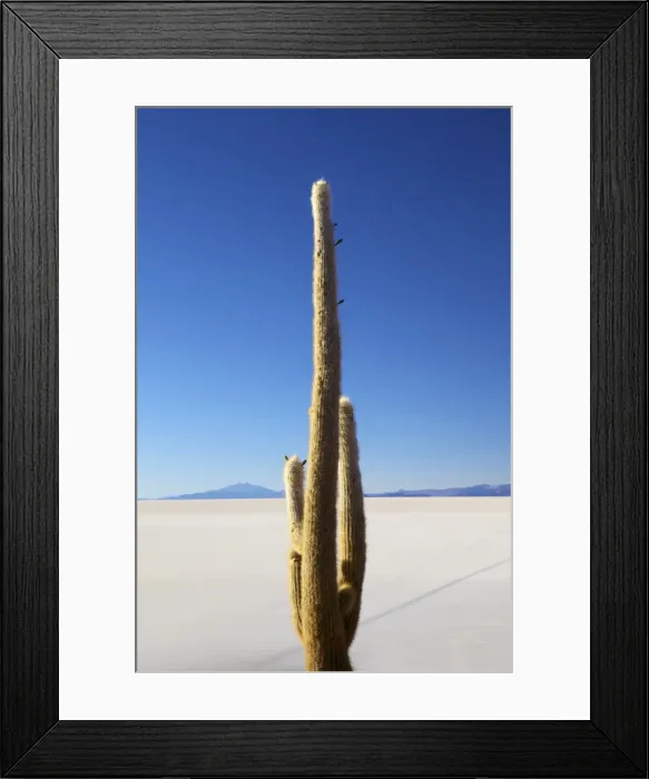 Framed Print : Isla del Pescado, Phaspani, Salar de Uyuni, Bolivia, South America Framed Print : Isla del Pescado, Phaspani, Salar de Uyuni, Bolivia, South America