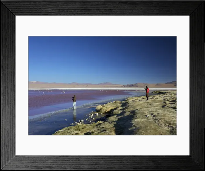 Framed Print : Laguna Colorada (Red Lagoon), salt lake in the southwest of the Altiplano of Bolivia, Eduardo Avaroa Andean Fauna National Reserve, Bolivia, South America Framed Print : Laguna Colorada (Red Lagoon), salt lake in the southwest of the Altiplano of Bolivia, Eduardo Avaroa Andean Fauna National Reserve, Bolivia, South America
