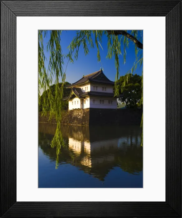 Framed Print : Fujimi-yagura, Higashi Gyoen, Tokyo, Japan, Asia Framed Print : Fujimi-yagura, Higashi Gyoen, Tokyo, Japan, Asia