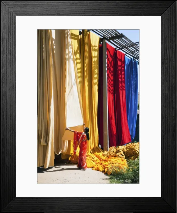 Framed Print : Woman in sari checking the quality of freshly dyed fabric hanging to dry, Sari garment factory, Rajasthan, India, Asia Framed Print : Woman in sari checking the quality of freshly dyed fabric hanging to dry, Sari garment factory, Rajasthan, India, Asia