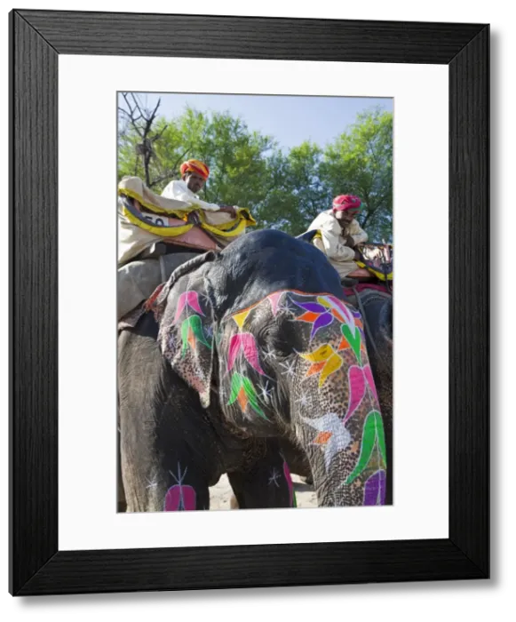 Framed Print : Ceremonial painted elephant at Amber Fort near Jaipur, Rajasthan, India, Asia Framed Print : Ceremonial painted elephant at Amber Fort near Jaipur, Rajasthan, India, Asia
