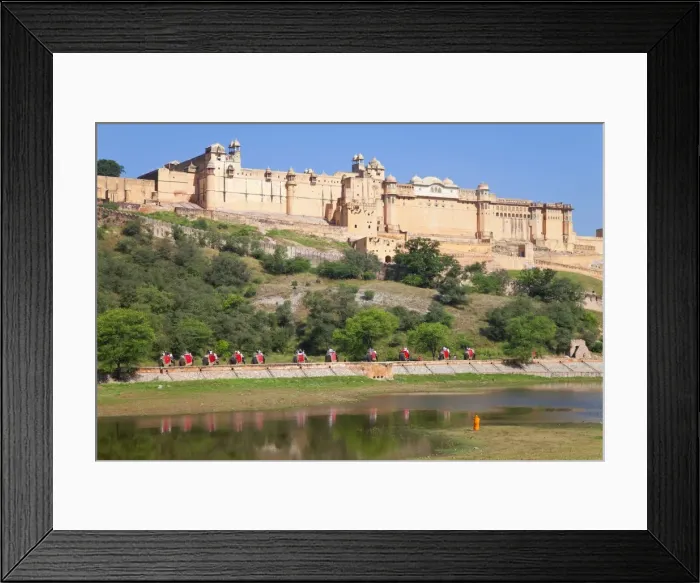 Framed Print : Elephants taking tourists to the Amber Fort near Jaipur, Rajasthan, India, Asia Framed Print : Elephants taking tourists to the Amber Fort near Jaipur, Rajasthan, India, Asia