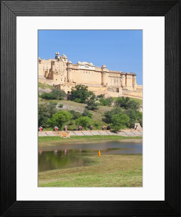 Framed Print : Elephants taking tourists to the Amber Fort near Jaipur, Rajasthan, India, Asia Framed Print : Elephants taking tourists to the Amber Fort near Jaipur, Rajasthan, India, Asia