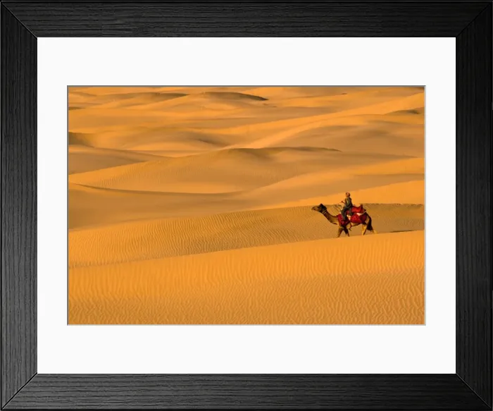 Framed Print : Sam Sand Dunes, Rajasthan, India, Asia Framed Print : Sam Sand Dunes, Rajasthan, India, Asia