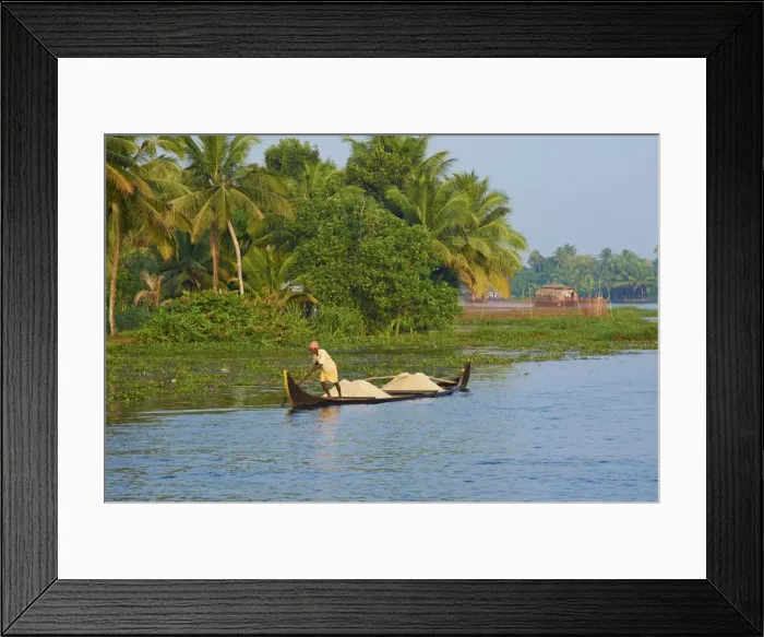 Framed Print : Small boat on the Backwaters, Allepey, Kerala, India, Asia Framed Print : Small boat on the Backwaters, Allepey, Kerala, India, Asia