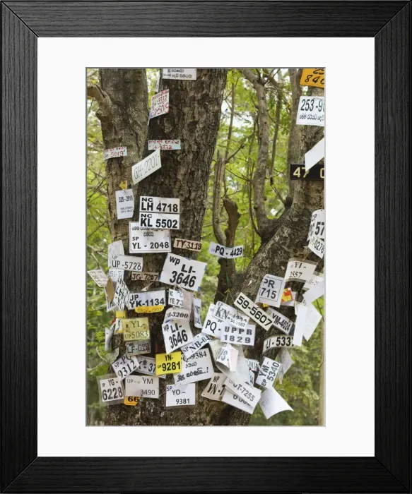 Framed Print : Vehicle numbers of pilgrims pinned to a tree in this sacred town, popular with all religions, Kataragama, South East, Sri Lanka, Asia Framed Print : Vehicle numbers of pilgrims pinned to a tree in this sacred town, popular with all religions, Kataragama, South East, Sri Lanka, Asia