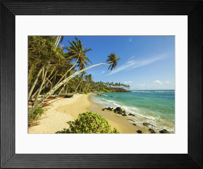 Framed Print : Palm trees at the eastern end of the south coast whale watch surf beach at Mirissa, near Matara, Southern Province, Sri Lanka, Asia Framed Print : Palm trees at the eastern end of the south coast whale watch surf beach at Mirissa, near Matara, Southern Province, Sri Lanka, Asia