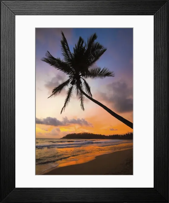 Framed Print : Sunset and palm tree and the western point of the south coast surf beach at Mirissa, near Matara, Southern Province, Sri Lanka, Asia Framed Print : Sunset and palm tree and the western point of the south coast surf beach at Mirissa, near Matara, Southern Province, Sri Lanka, Asia