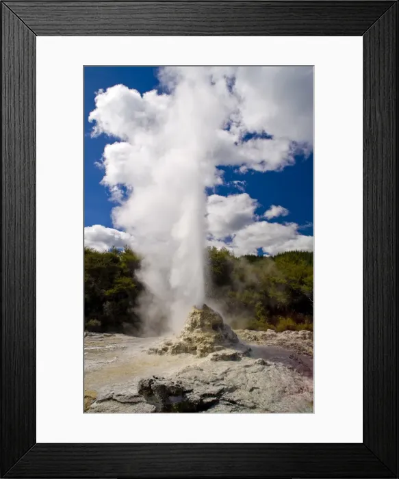 Framed Print : Lady Knox Geyser, Wai-O-Tapu Thermal Wonderland, North Island, New Zealand, Pacific Framed Print : Lady Knox Geyser, Wai-O-Tapu Thermal Wonderland, North Island, New Zealand, Pacific