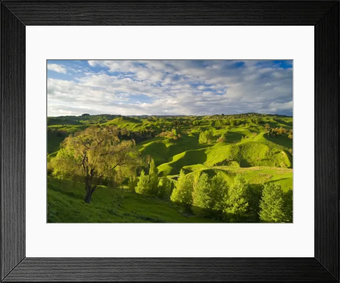Framed Print : Farmland near Taihape, North Island, New Zealand, Pacific Framed Print : Farmland near Taihape, North Island, New Zealand, Pacific